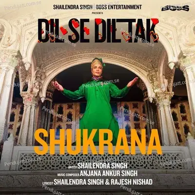 Shukrana - Shailendra Singh album cover 