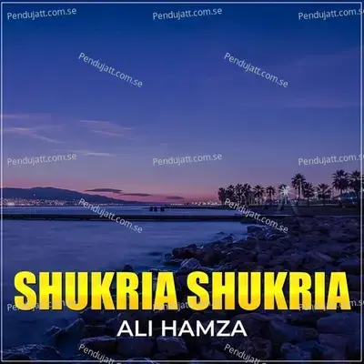 Shukria Shukria - Ali Hamza album cover 