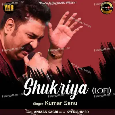 Shukriya - Lofi - Kumar Sanu album cover 