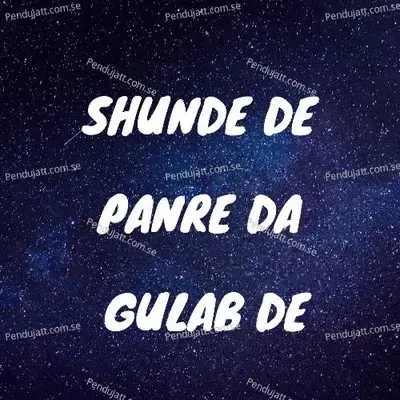 Shunde De Panre Da Gulab De - Shahid Ali Babu album cover 