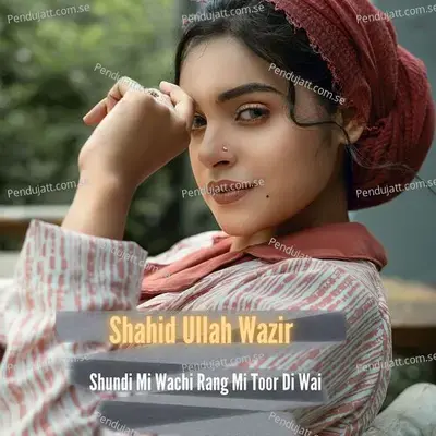 Shundi Mi Wachi Rang Mi Toor Di Wai - Shahid Ullah Wazir album cover 