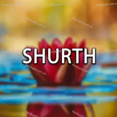 Shurth - SANWAR MALI MALIPURA album cover 