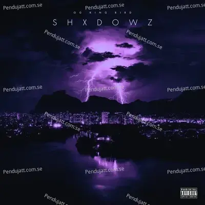 Shxdowz - OG KING BIRD cover album