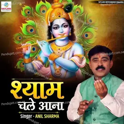 Shyam Chale Aana - Anil Sharma album cover 