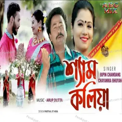Shyam Koliya - Bipin Chawdang album cover 
