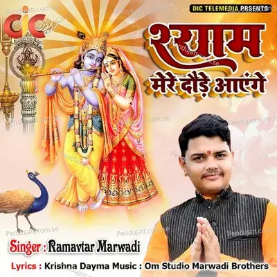 Shyam Mere Daude Aayenge - Ramavtar Marwadi album cover 
