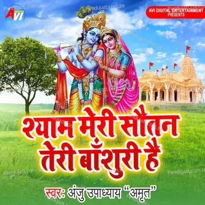 Shyam Meri Sautan Teri Bashuri Hai - Anju Upadhyay Amrit album cover 