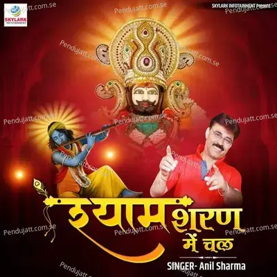 Shyam Sharan Mein Chal - Anil Sharma album cover 