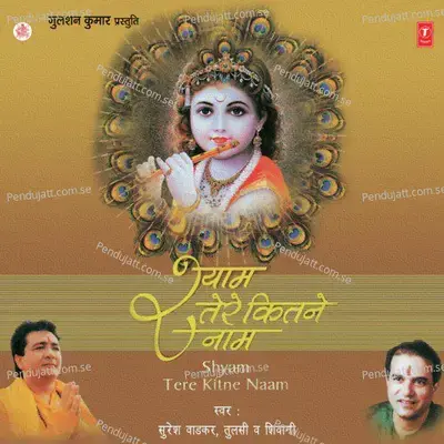 Bar - Bar Lagatar - Tulsi Kumar album cover 