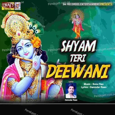 Shyam Teri Deewani - Rishu Babu cover album