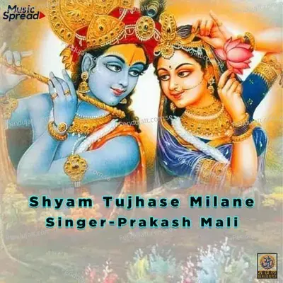 Shyam Tujhase Milane - Raju Rajasthani