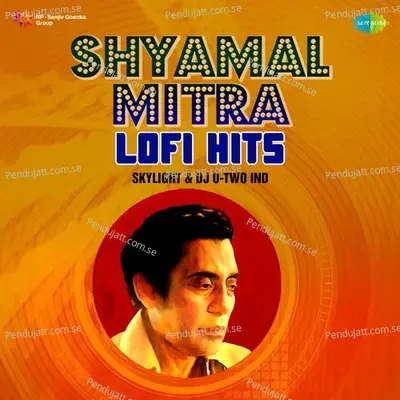 Naam Rekhechhi Bonolata - Lofi - Shyamal Mitra album cover 