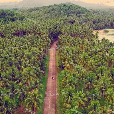 Siargao - Jai album cover 