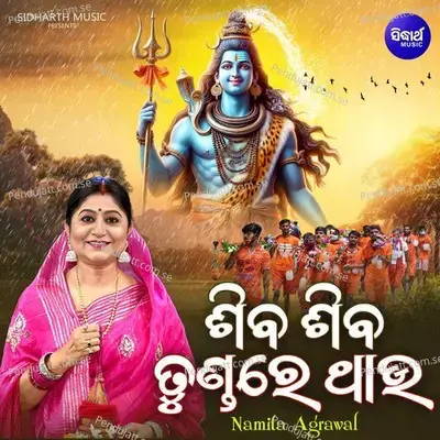 Siba Siba Tundare Thau - Namita Agrawal album cover 