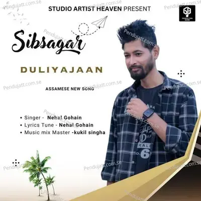 Sibsagar Duliyajaan - Nehal Gohain album cover 