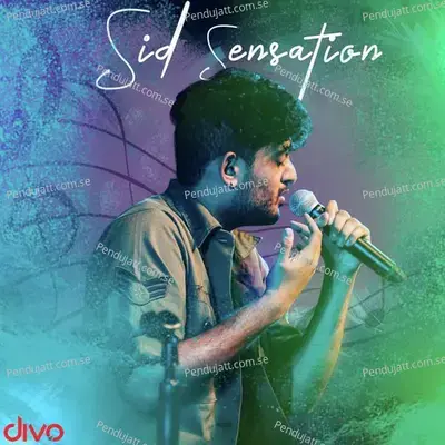 Sid Sensation - Various Artists cover album