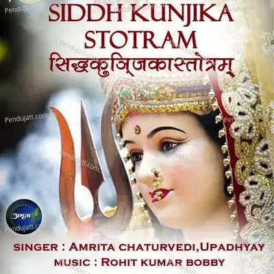 Siddh Kunjika Stotram - Amrita Chaturvedi album cover 