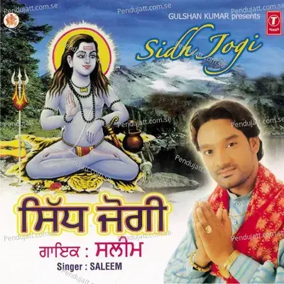 Jholiyan - Saleem album cover 