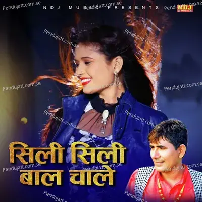 Siili Siili Baal Chaale - Krishan Chouhan album cover 