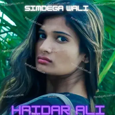 Simdega Wali - Ali Haider album cover 