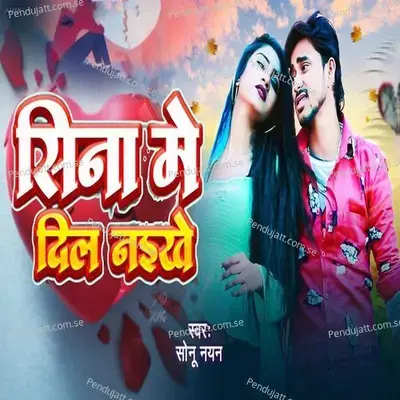 Sina Me Dil Naikhe - Sonu Nayan album cover 