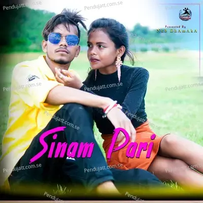 Sinam Pari - Raju Soren album cover 