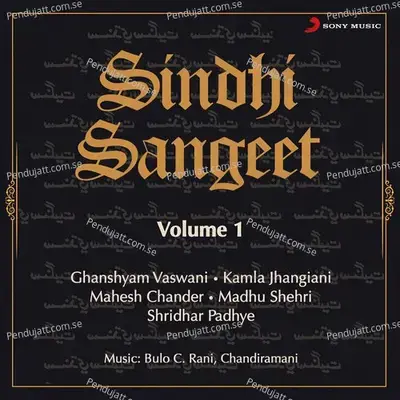 Tujh Tasveera - Mahesh Chander album cover 