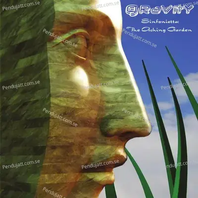 Sinfonietta  The Aching Garden - Gravity cover album