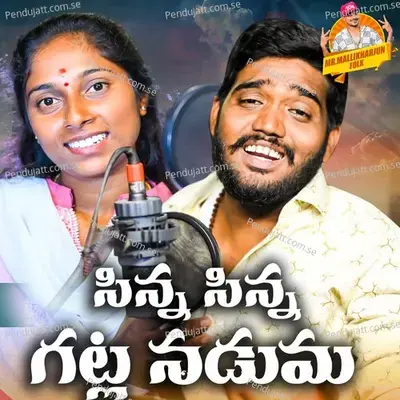 Sinna Sinna Gatla Naduma - Nakka Srikanth album cover 