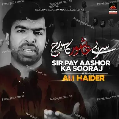 Qaid Khanah Qaid Hai - Ali Haider album cover 