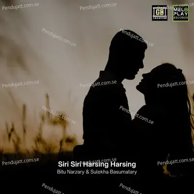 Siri Siri Harsing Harsing - Bitu Narzary album cover 