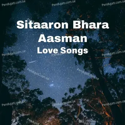 Sitaaron Bhara Aasman - Love Songs - Various Artists