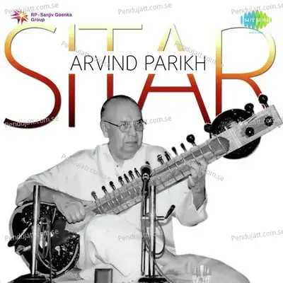 Alap - Gat Vilambit - Arvind Parikh album cover 