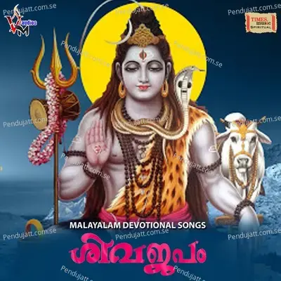 Eriyunne Nirathiri Male - Veena album cover 