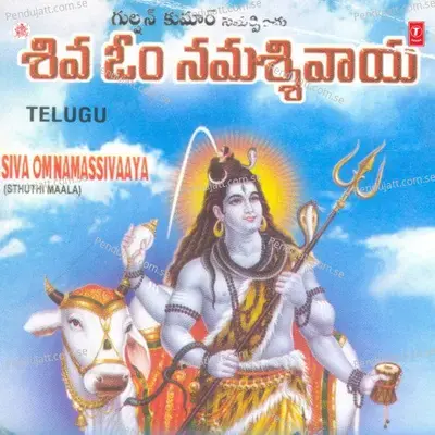 Namassivaaya Sivaaya Namaom - Parthasaradhi album cover 