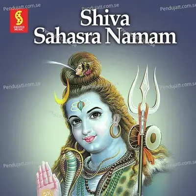 Siva Sahasranamam - Radhika Gopalakrishnan album cover 