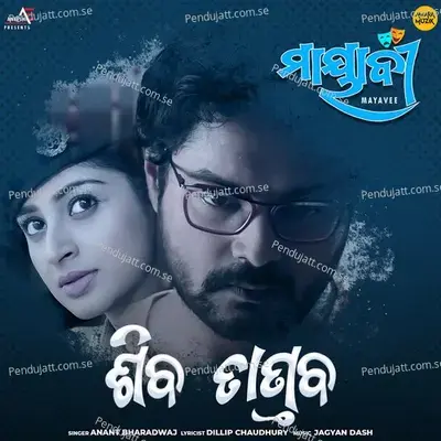 Siva Tandav - Anant Bharadwaj album cover 