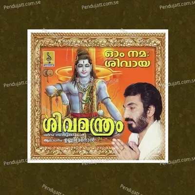 Om Namasivaya Namo - Unni Menon album cover 