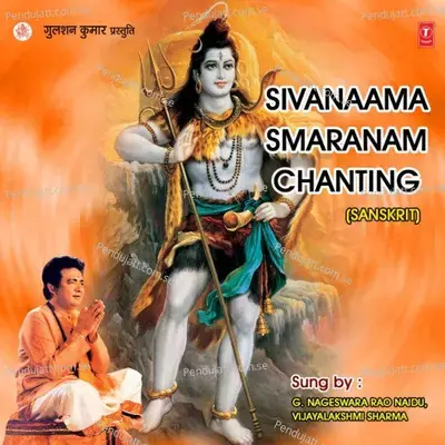 Om Umamaheswaraya - G. Nageswara Rao Naidu album cover 