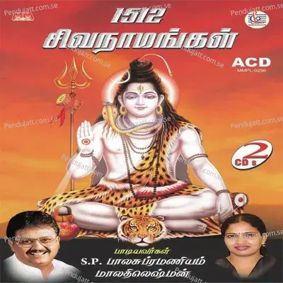 Muzumuthar Kadayula - S.P. Balasubrahmanyam album cover 