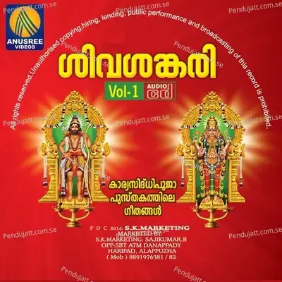 Naarayani Namo - Veena Prakasan album cover 