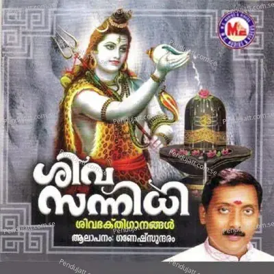 Munnil Theliyunna - Veena album cover 