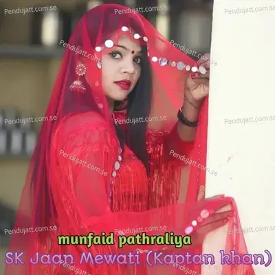 Sk Jaan Mewati - Munfaid Pathraliya album cover 