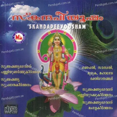 Bhadre - Panthalam G. Pradeep Kumar album cover 