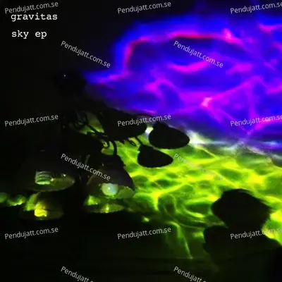 Names Written In Water - Gravitas album cover 