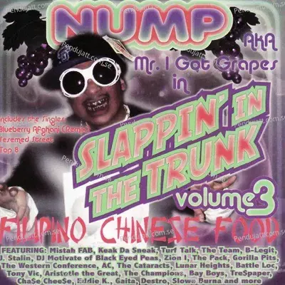 Sesemed Street - Nump album cover 