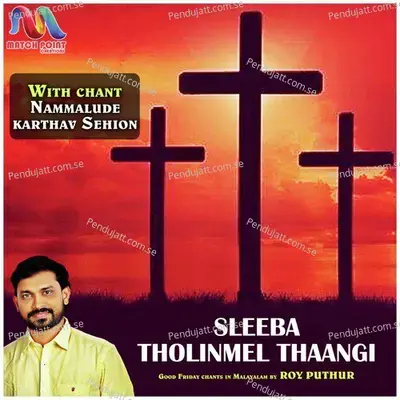 Sleeba Tholinmel Thaangi - Single - Roy Puthur