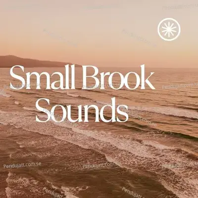 Small Brook Sounds - Lakhan Hire