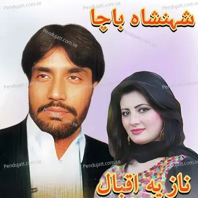 Da Tanhasi Pa Zandagi Ke Za Dar Yadegama Ka Na - Shahanshah Bacha album cover 