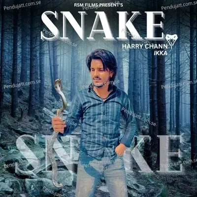 Snake - Harry Chann album cover 